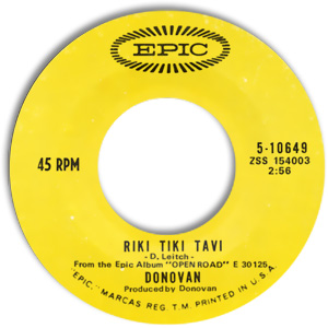 Riki Tiki Tavi/ Roots of Oak