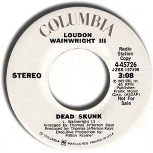 Dead Skunk