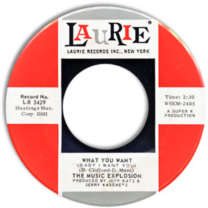 What You Want (Baby I Want You)/ Road Runner
