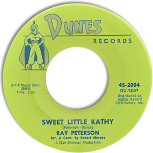 Sweet Little Kathy/ You Didn't Care